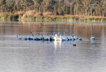 El Festival del Día Mundial