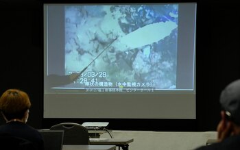 (AP Photo/Shuji Kajiyama)