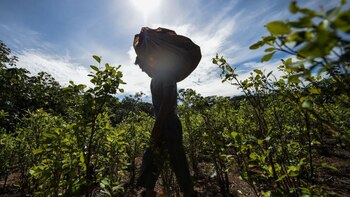 Este martes llega al Congreso