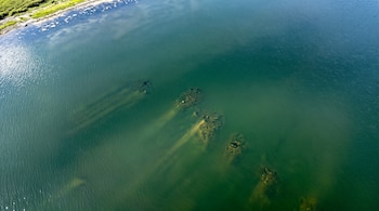 Vista aérea de un cuerpo de agua con ripples, una costa rocosa cubierta de vegetación y varias estructuras sumergidas en el fondo marino.