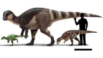 Por qué los dinosaurios habrían