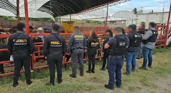 El operativo fue realizado tras la solicitud de colaboración por parte de la Fiscalía de Veracruz. Crédito: FGJEM