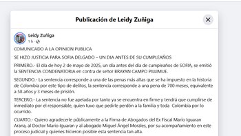 El crimen de Sofía Delgado