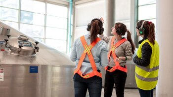 Los grupos de trabajo previo