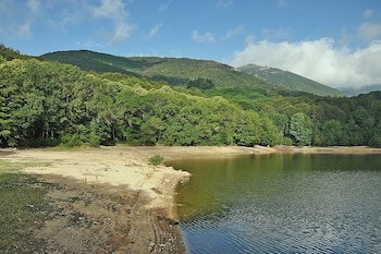 La orilla de un lago y una montaña de fondo.