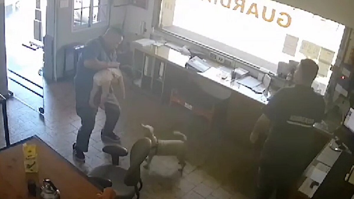 El dramático momento en el que bomberos salvaron a una bebé de dos años: “Llegó sin signos vitales”