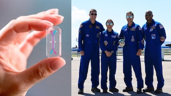 Los chips del tamaño de una USB que acompañarán a los astronautas de Artemis II a la Luna