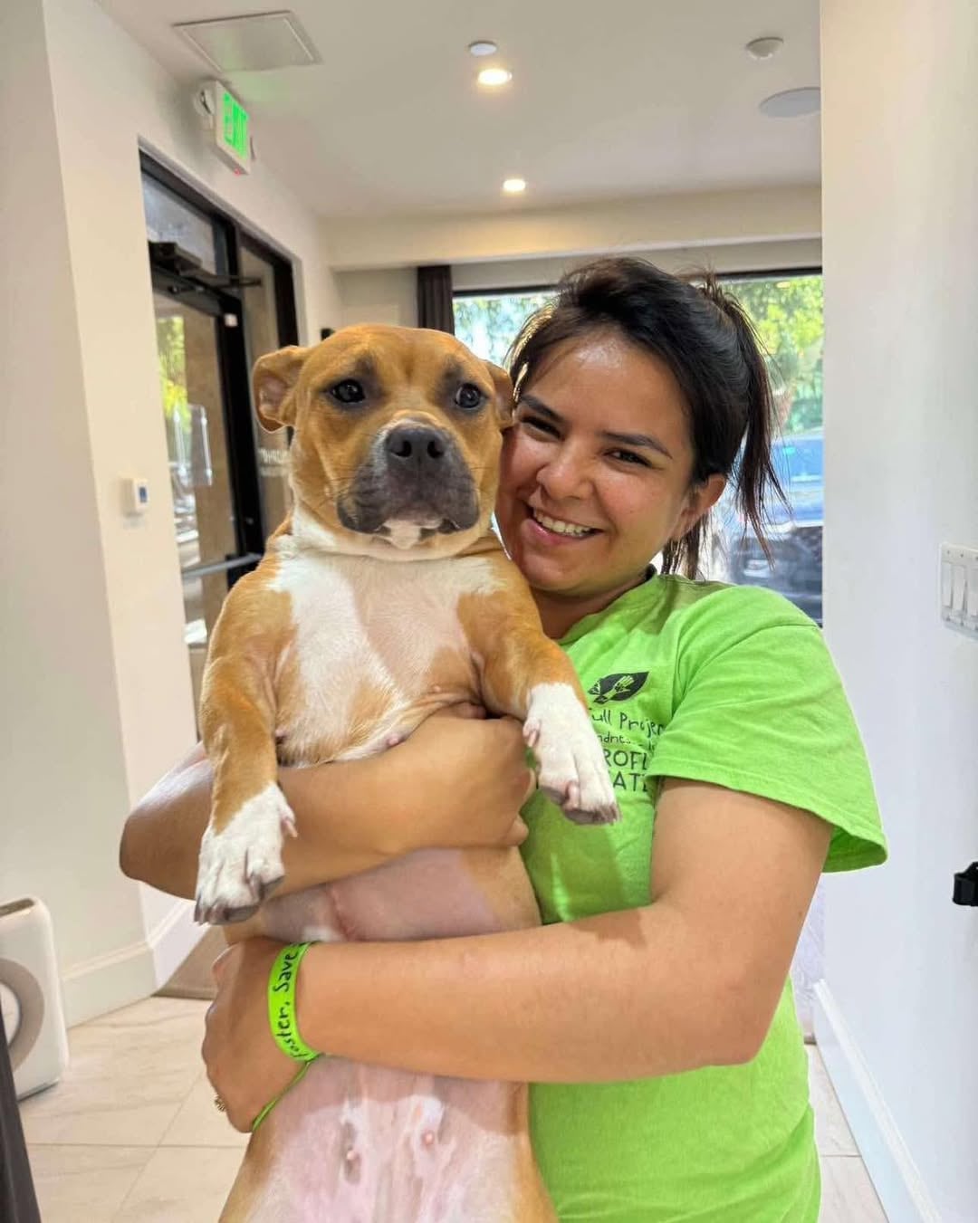 La fundadora Heydi Acuna destaca que la presión de las políticas migratorias altera no solo la vida de las personas sino también la de sus mascotas (Instagram: @mercyfullproject).