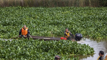 Crisis clima, "factor agravante"
