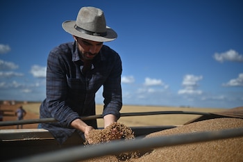 Fotografía de archivo de un