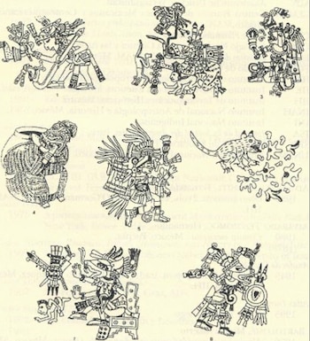 Según el experto de la