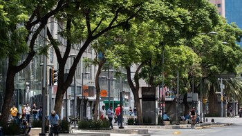 ¿Buscas empleo? Empresa en Milpa