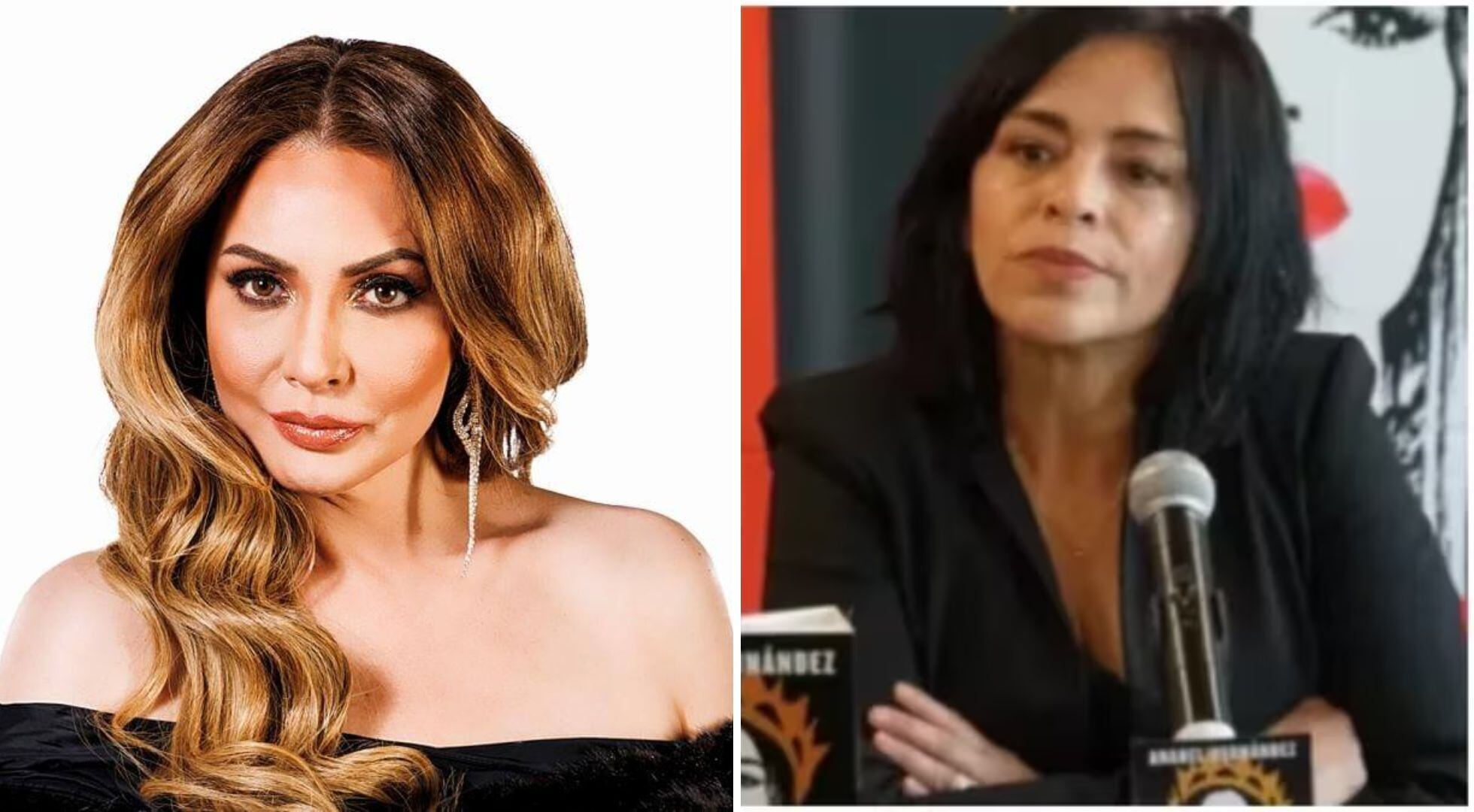 Paty Navidad revela su versión de la historia en un video en el que desafía a Anabel Hernández a presentar pruebas concretas de sus afirmaciones