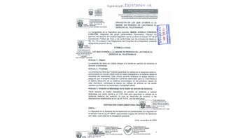 Congresista propone que madres en