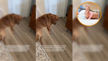 Este golden retriever avisa a