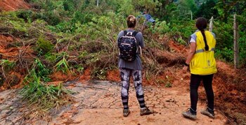 La Administración Distrital ha sugerido