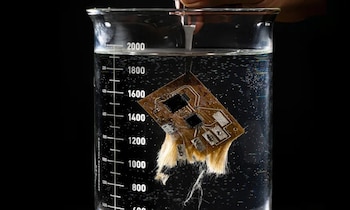 Placa de circuitos de Infineon