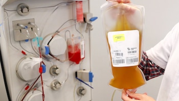 Líder del estudio de plasma del Hospital Italiano: “El plasma es igual al placebo en pacientes que tienen una neumonía severa por COVID-19”