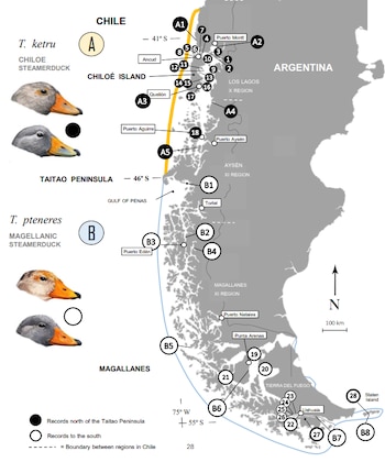 Mapa del sur de Chile y Argentina con marcadores numéricos y de letras, junto a ilustraciones de cabezas de pato y una leyenda