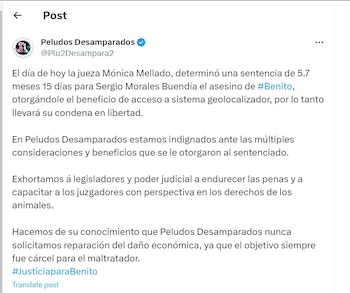 Scooby/Benito Sergio Morales Buendía condenado por perrito arrojado a aceite