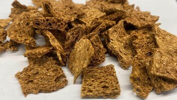 La esponja que limpia agua,