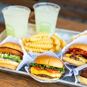 Se puede decir que Shake