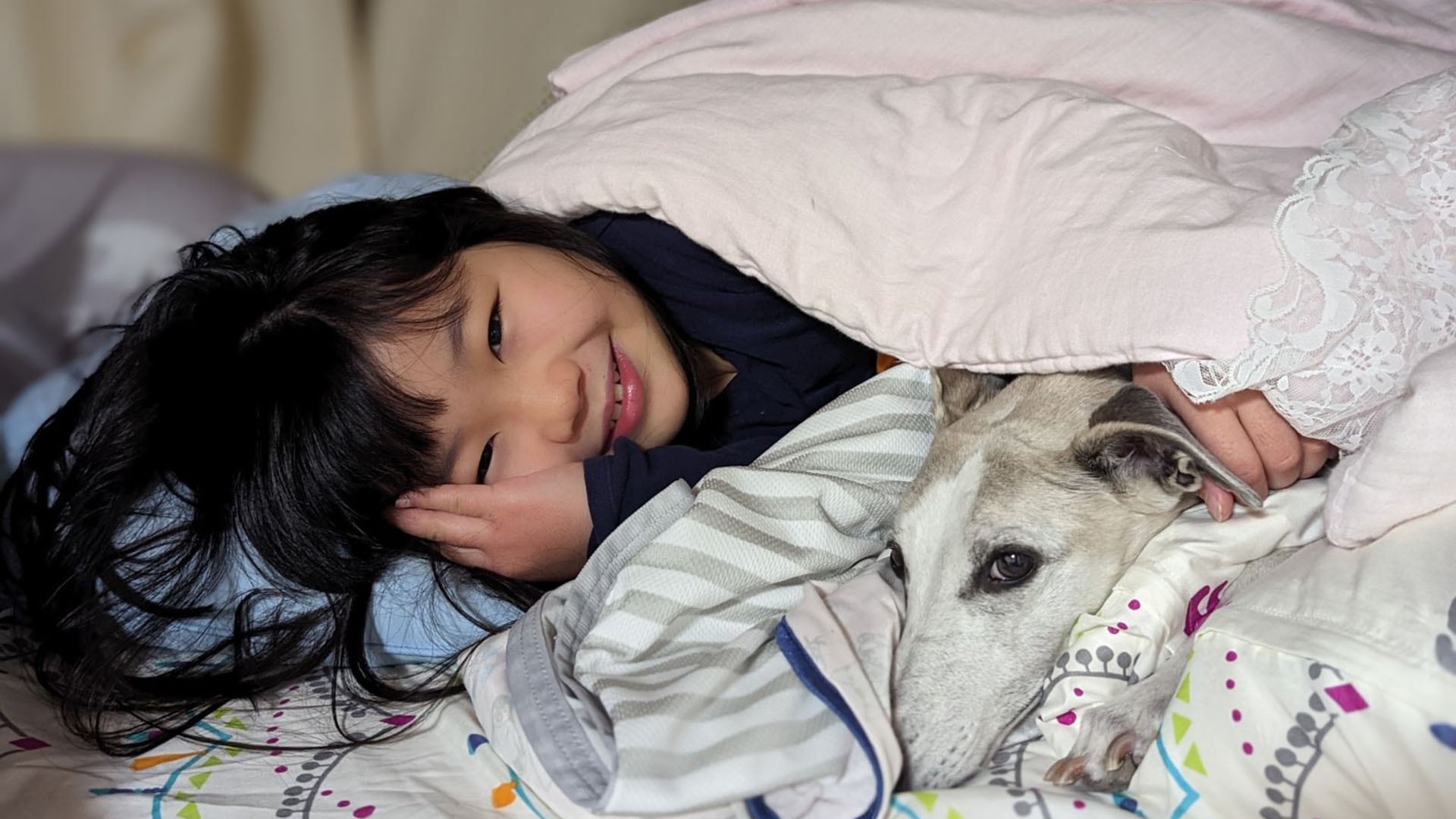 Convivir con perros modifica el microbioma oral de los adolescentes y mejora su salud mental. (Nozomi Hirayama)