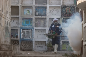 Cementerio de Villa María del Triunfo