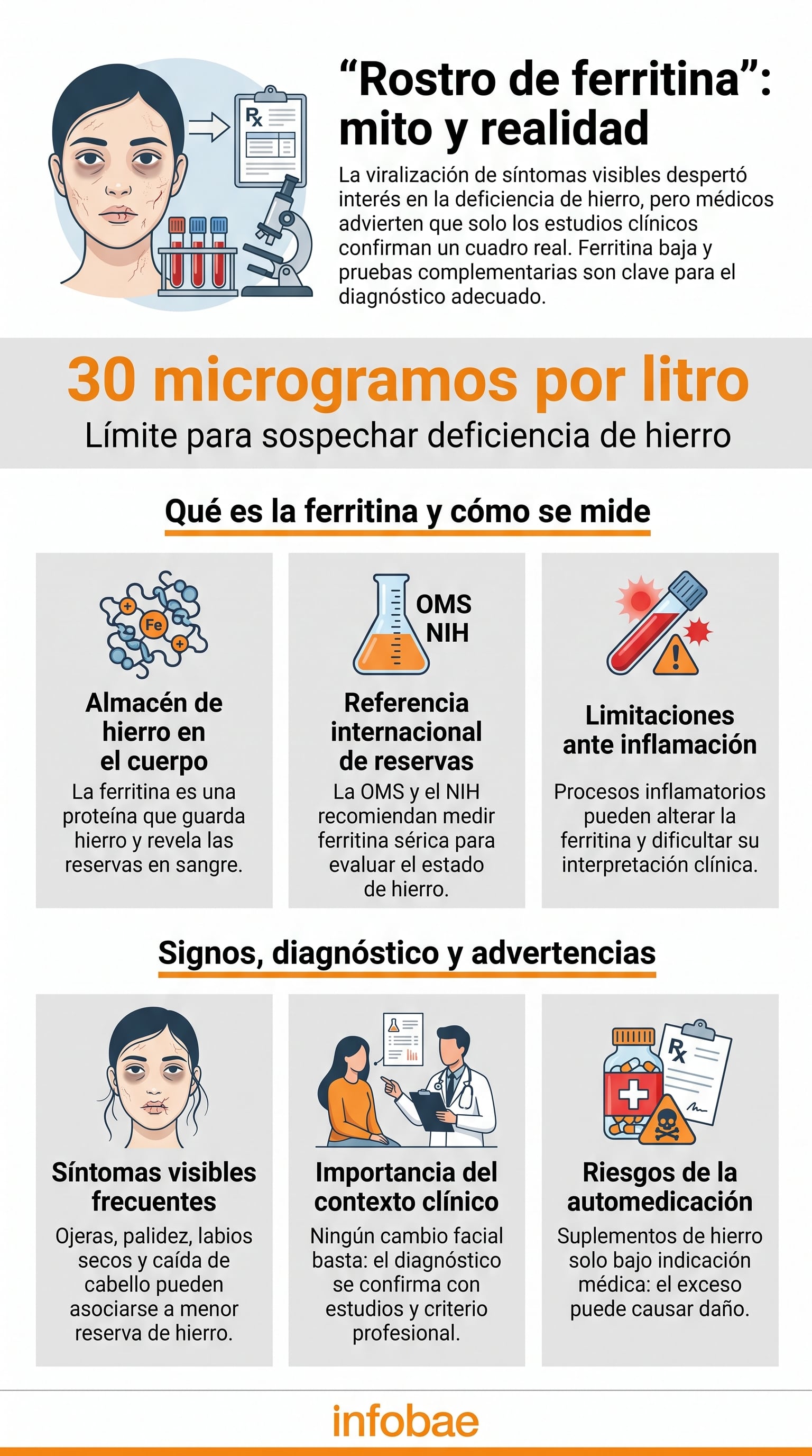 La ferritina es una proteína que almacena hierro y su medición orienta sobre las reservas del organismo. (Imagen Ilustrativa Infobae)