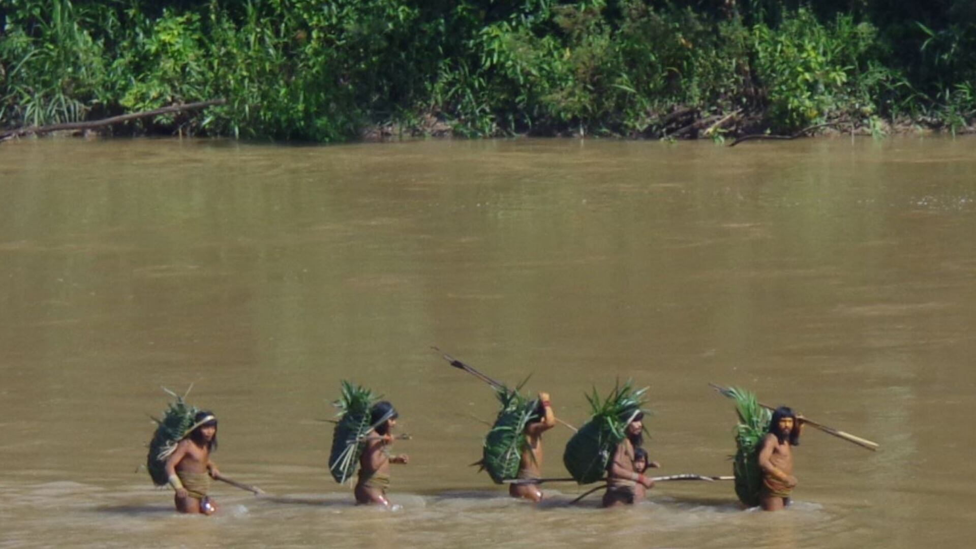 Los Mashco piro y un futuro incierto: deforestación, riesgo sanitario y presión territorial amenazan a un grupo no contactado de la Amazonía peruana
