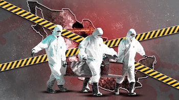 Estos siete estados concentran el 50 por ciento de homicidios dolosos, destacan Quintana Roo y Guanajuato