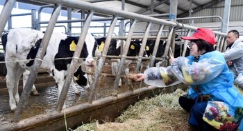 Los pequeños productores padecen especialmente