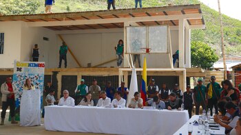 Las disidencia de las FARC