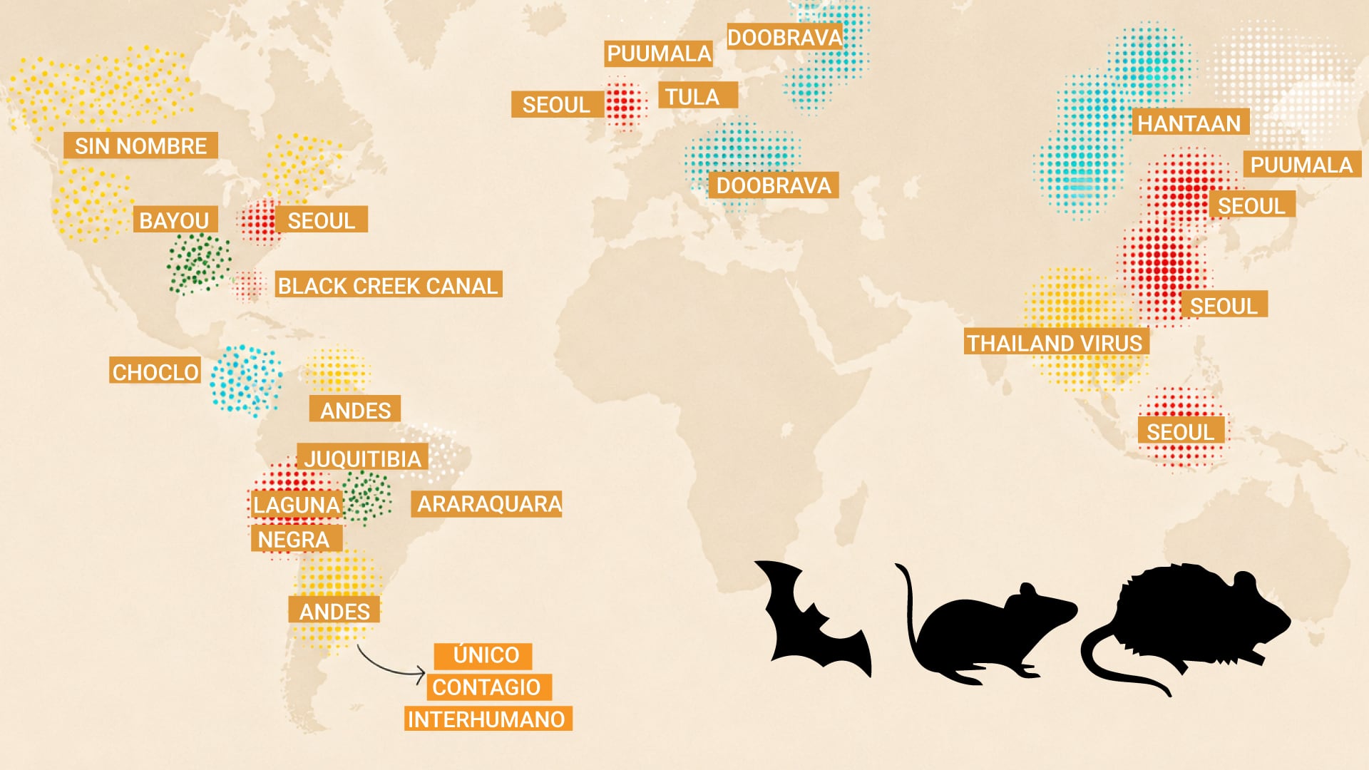 Mapa mundial del hantavirus (Infobae)