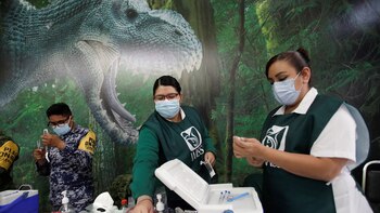 Vacina mexicana da Pátria: em