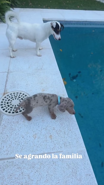 "Se agrandó la familia", escribió