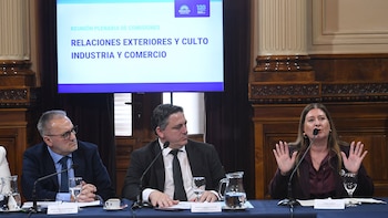 El Senado dictaminó el Tratado de Patentes con un guiño a favor de laboratorios locales