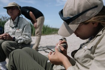 (Michelle Gustafson/The New York Times)