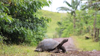 Ecuador concretó este año la mayor operación de este tipo que le permitirá en los próximos años destinar 450 millones a la preservación de las islas Galápagos (EFE)