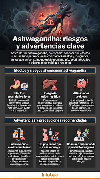 Infografía sobre ashwagandha que muestra sus riesgos y precauciones, con iconos de estómago, hígado, tiroides, medicamentos, embarazo y médico.