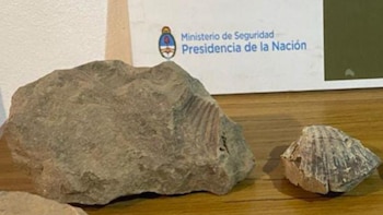 En diversos operativos llevados a