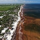 El Caribe mexicano enfrenta su peor temporada de sargazo: 90.000 toneladas flotan frente a Quintana Roo