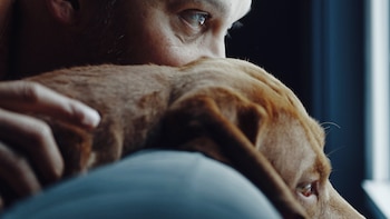 ¿Tener un perro alarga la