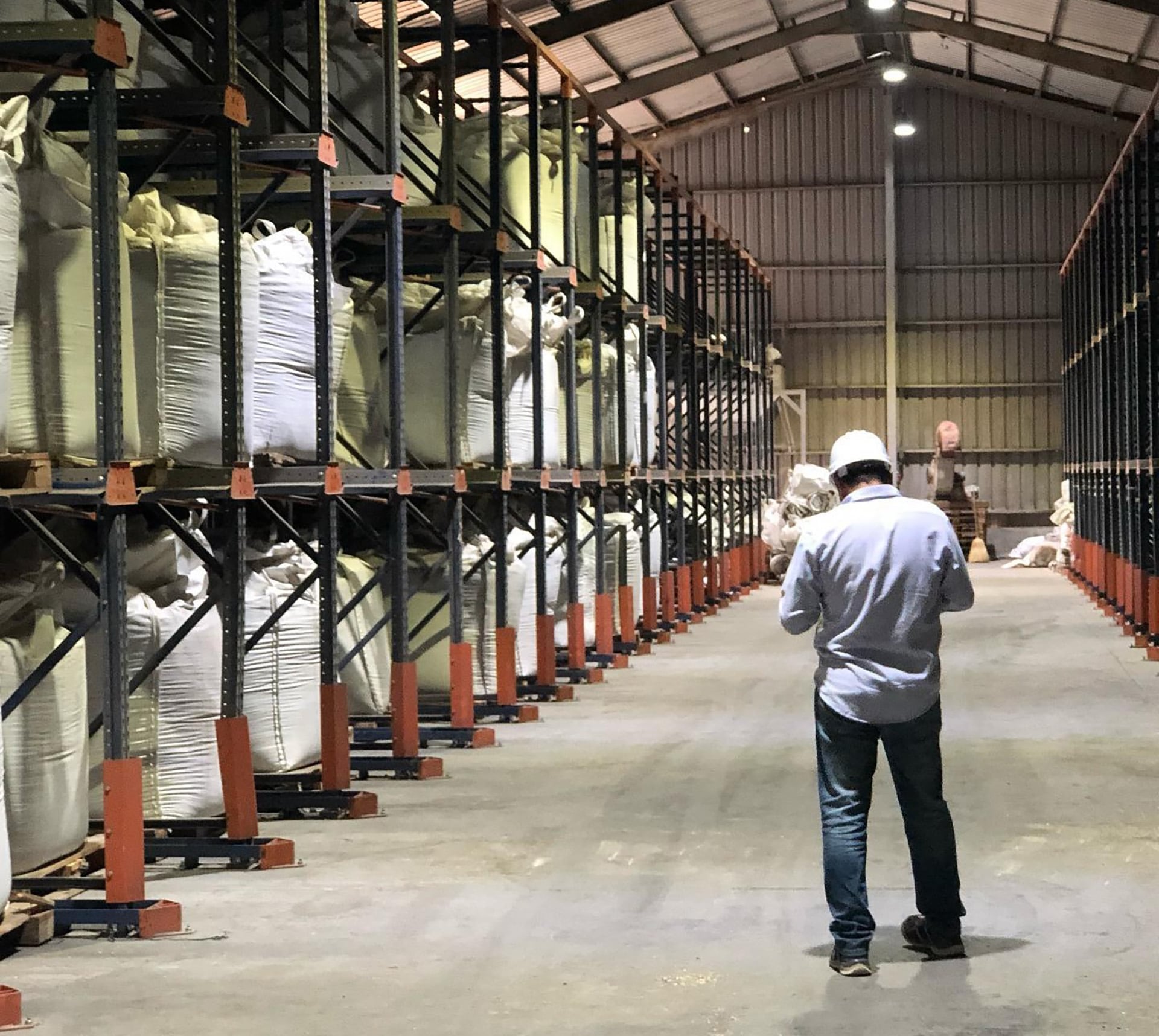 La empresa Southern Seeds Production produce y exporta legumbres para unos 40 países