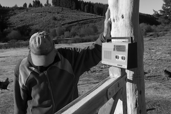 Los mensajes son cartas radiales