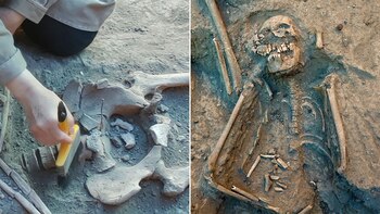 Los restos localizados podrían indicar