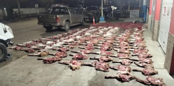 Cientos de trozos de carne cruda sobre pavimento, vehículos, personas y un cono de tráfico al fondo de la imagen capturada de noche