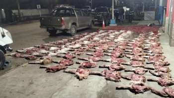 Decomisaron más de 190 kilos cortes de carne de especies protegidas durante un control policial en Santa Cruz