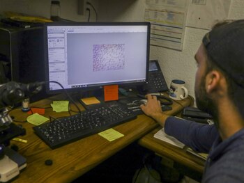 18/04/2021 Lab Technician Ian Reilly shows a scan of a Sangria sample on his computer while he checks for yeast viability at Keel Farms in Plant City on Friday
EUROPA ESPAÑA SOCIEDAD
CONTACTOPHOTO