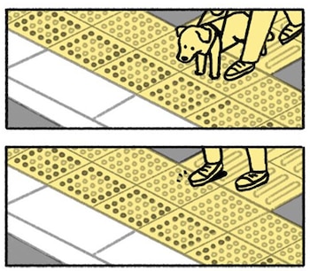 Además de identificar los bloques